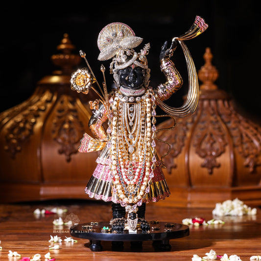 Shrinathji
